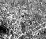 93rd Infantry Division, Bougainville, 1 May 1944